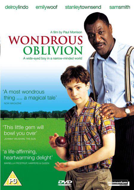 难得糊涂 Wondrous Oblivion (2003)