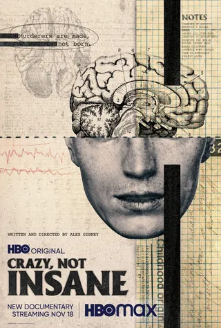 疯狂不疯癫 Crazy, Not Insane (2020)