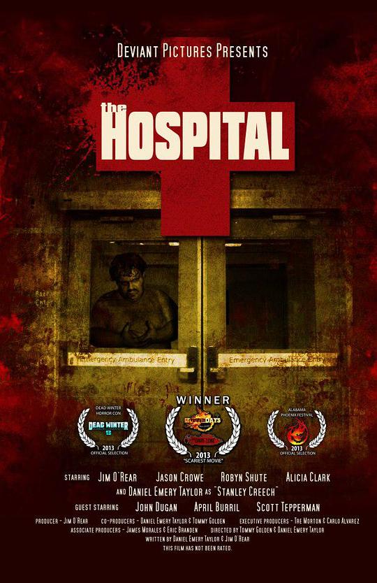 The Hospital  (2013)
