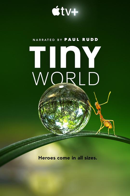小小世界 第一季 Tiny World Season 1 (2020)