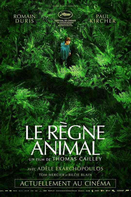 动物王国 Le règne animal (2023)